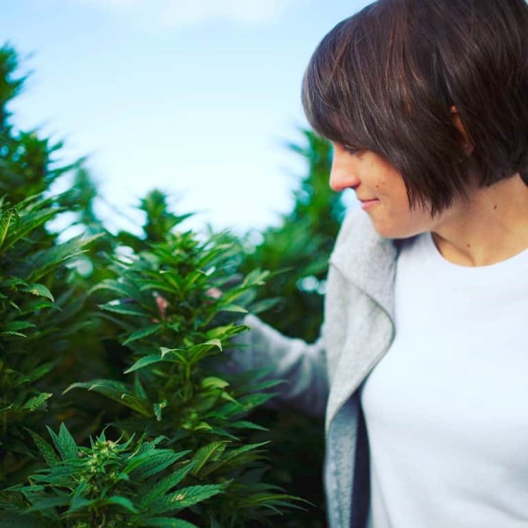 CBD Oil Oral Tula 
      MS 38675